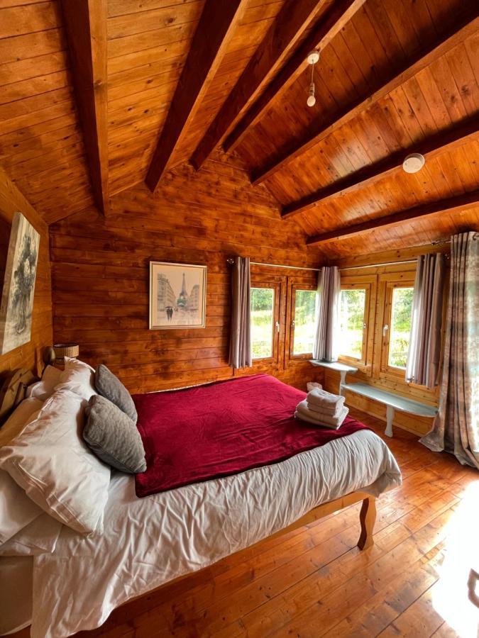 Red Robin Nest Appartement Galway Buitenkant foto