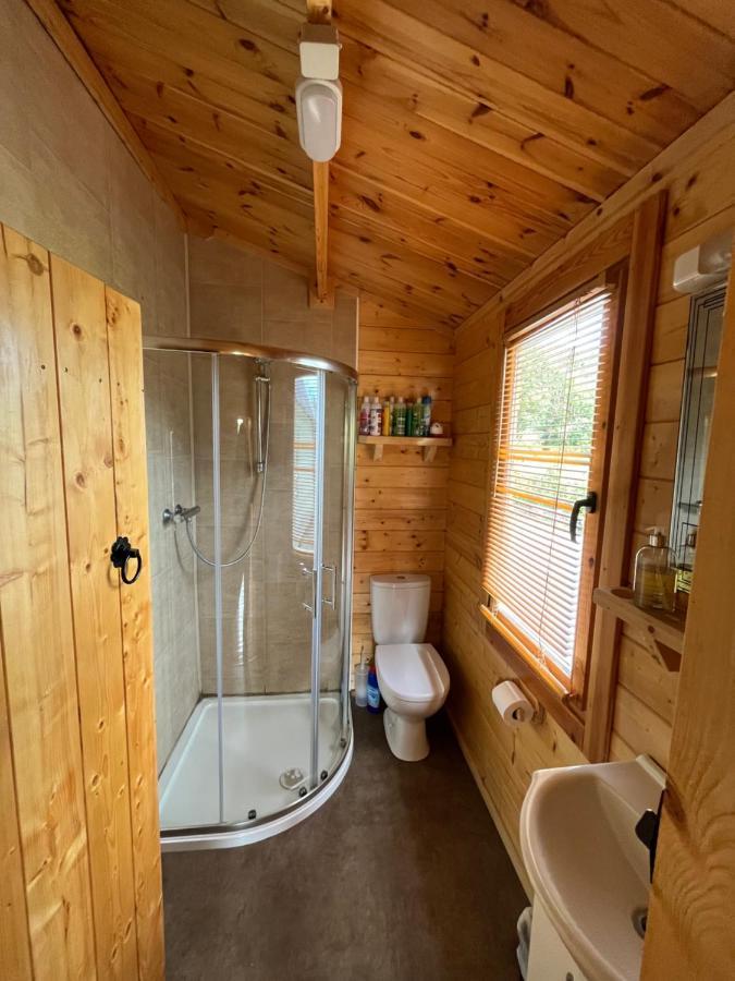 Red Robin Nest Appartement Galway Buitenkant foto
