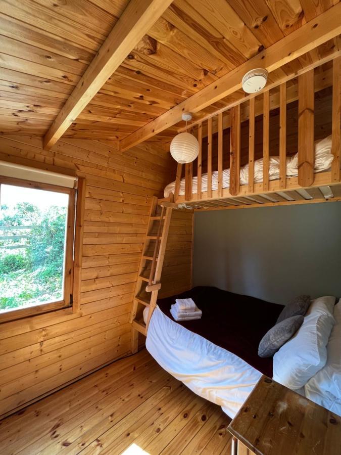 Red Robin Nest Appartement Galway Buitenkant foto