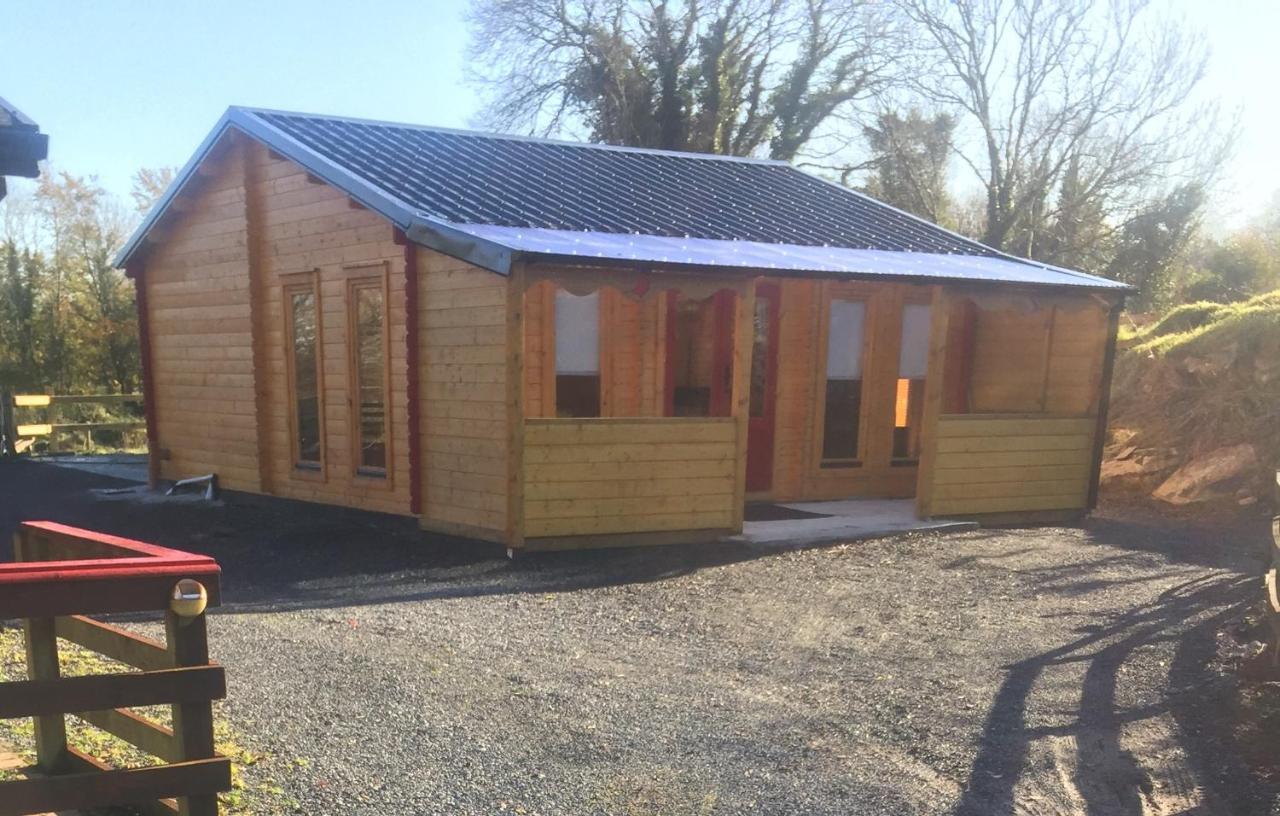 Red Robin Nest Appartement Galway Buitenkant foto